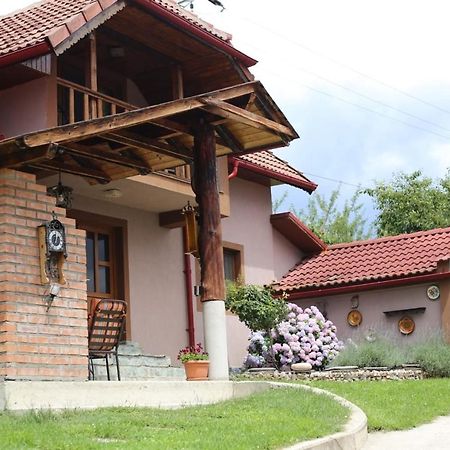 Casa Darius Villa Novaci-Străini Eksteriør bilde