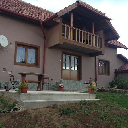 Casa Darius Villa Novaci-Străini Eksteriør bilde