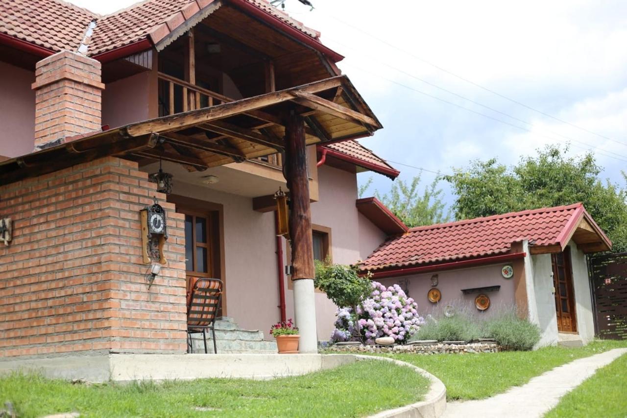 Casa Darius Villa Novaci-Străini Eksteriør bilde