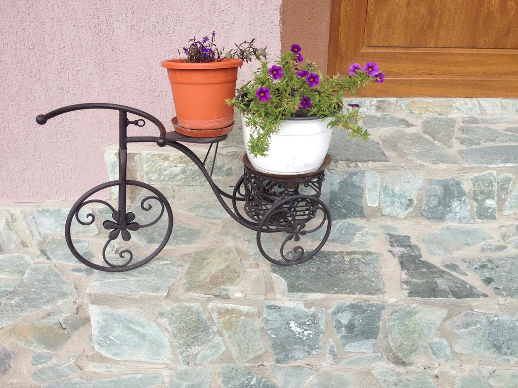 Casa Darius Villa Novaci-Străini Eksteriør bilde